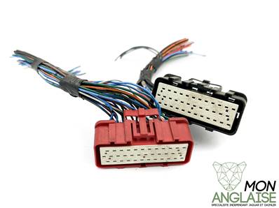 Broche ECU Moteur / Jaguar X300 de 1995 à 1997