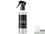 Flash'Dry Shampooing sec carrosserie 500mL Jaguar S-Type V6 - V8 de 1999 à 2008