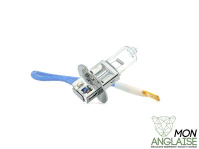 Ampoule de feu antibrouillard avant Jaguar S-Type V6 - V8 Essence de 2002 à 2004