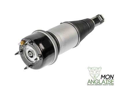 Amortisseur arrière adaptable Jaguar X350 V6 - V8 de 2009 à 2009